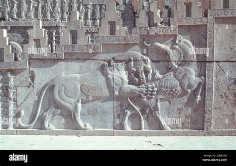 De Reconstructie van Persepolis; Een Monumentale Verkenning van de Achaemenidische Macht onder Darius I